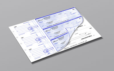 Duplicate Manual Checks Custom Online