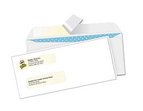 Order Business Checks Envelopes High-Security Double/Single Window FREE Coloured Logo 
