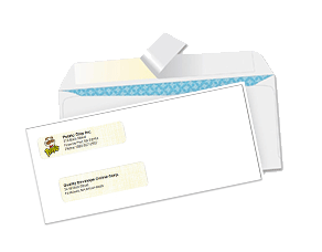 Order Business Checks Envelopes High-Security Double/Single Window FREE Coloured Logo