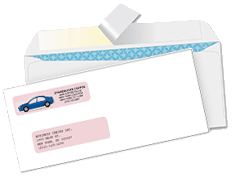 Order Check-Softwares Envelopes | Self-Sealing, Peel and Seal, Single/Double Window High-Security | Free Coloured Logo Online