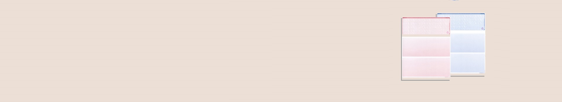 Blank Check Stock Business Checks for